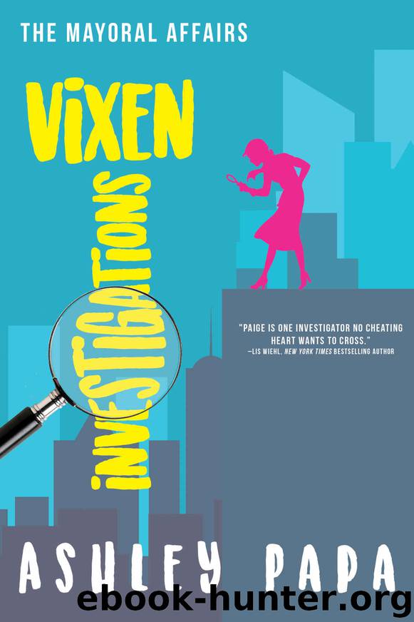Vixen Investigations_The Mayoral Affairs by Ashley Papa