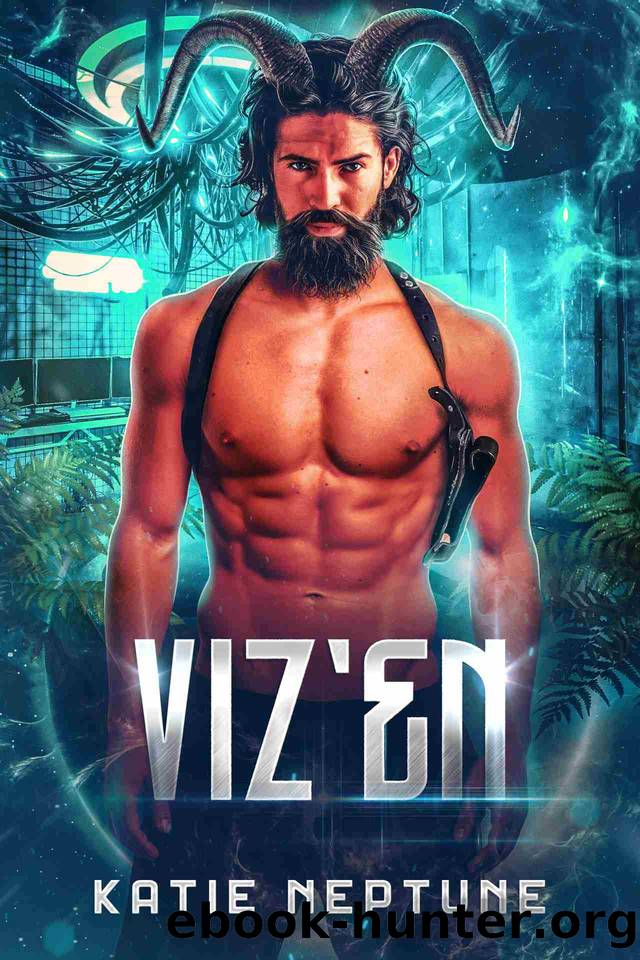 Viz'en by Katie Neptune
