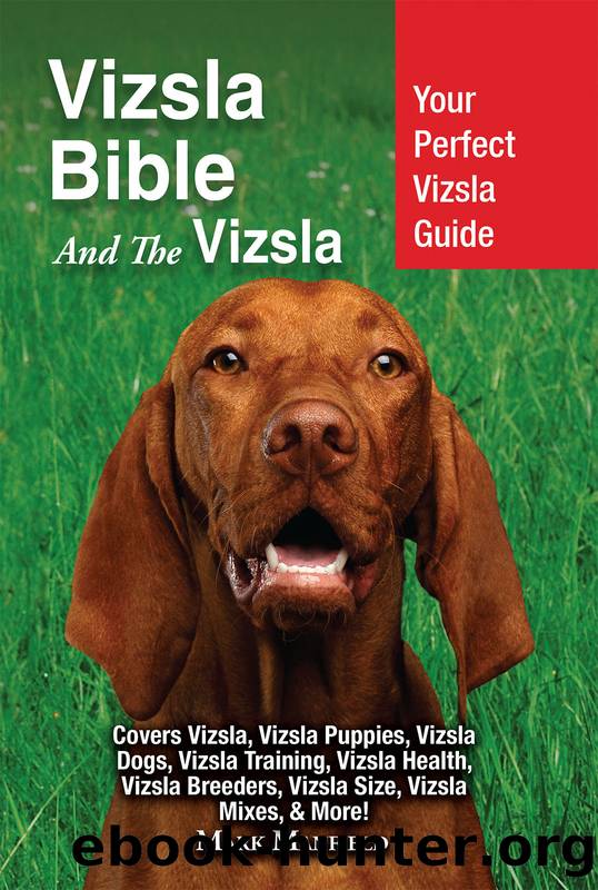 Vizsla Bible and the Vizsla by Mark Manfield