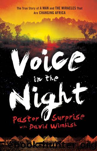 Voice in the Night by David Wimbish