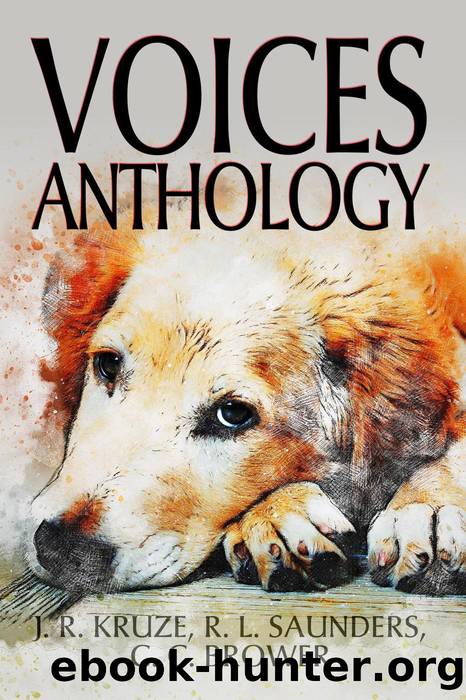 Voices Anthology (Short Story Fiction Anthology) by J. R. Kruze & C. C. Brower & R. L. Saunders