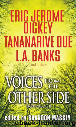 Voices From The Other Side by Brandon Massey
