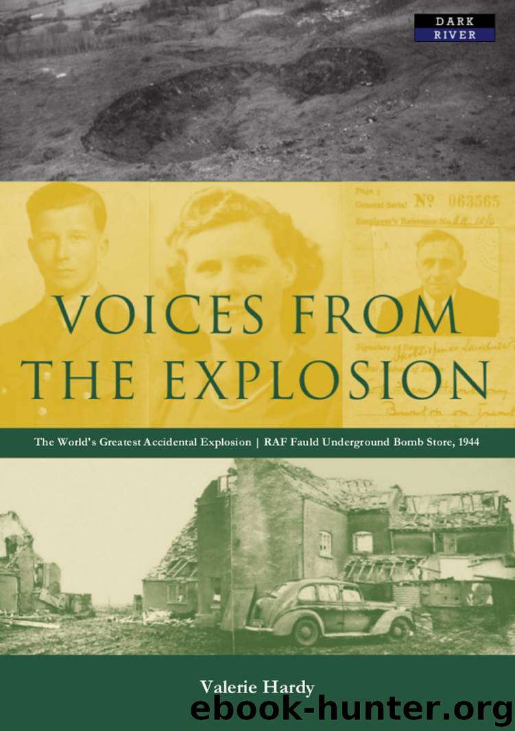 Voices from the Explosion by Valerie Hardy