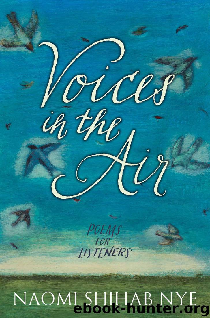 Voices in the Air by Naomi Shihab Nye