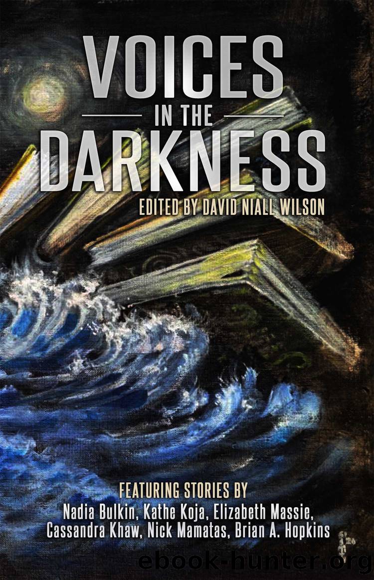 Voices in the Darkness by David Niall Wilson