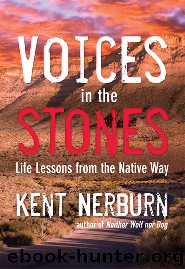 Voices in the Stones by Kent Nerburn
