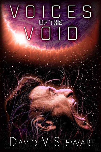 Voices of the Void by David V Stewart