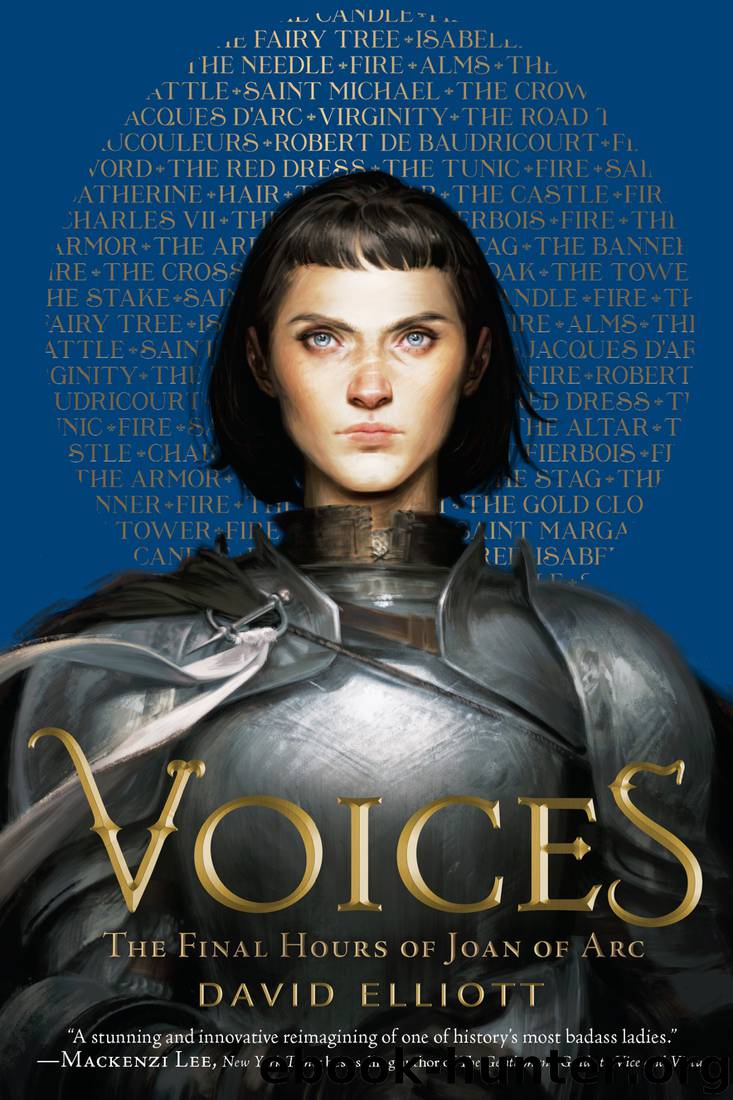 Voices: The Final Hours of Joan of Arc by David Elliott