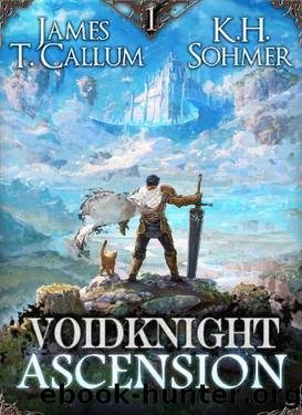 Voidknight Ascension: A LitRPG Adventure by James T. Callum & K.H. Sohmer
