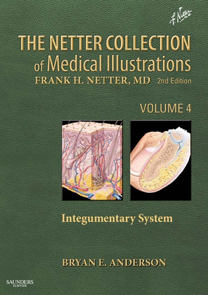 Vol 4- The Netter Collection of Medical Illustration, 2E- Integumenatry System by Unknown