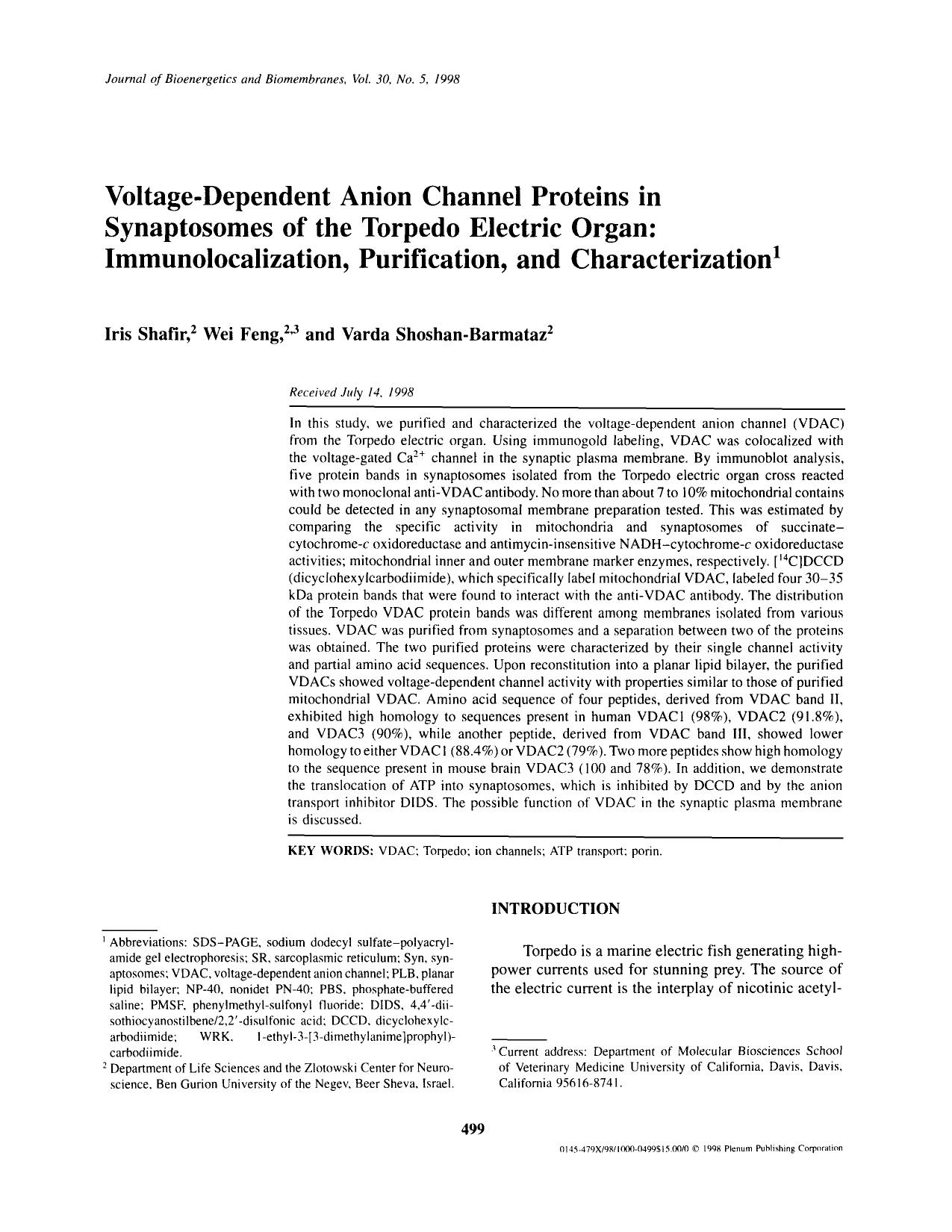 Voltage-Dependent Anion Channel Proteins in Synaptosomes of the Torpedo Electric Organ: Immunolocalization, Purification, and Characterization by Unknown