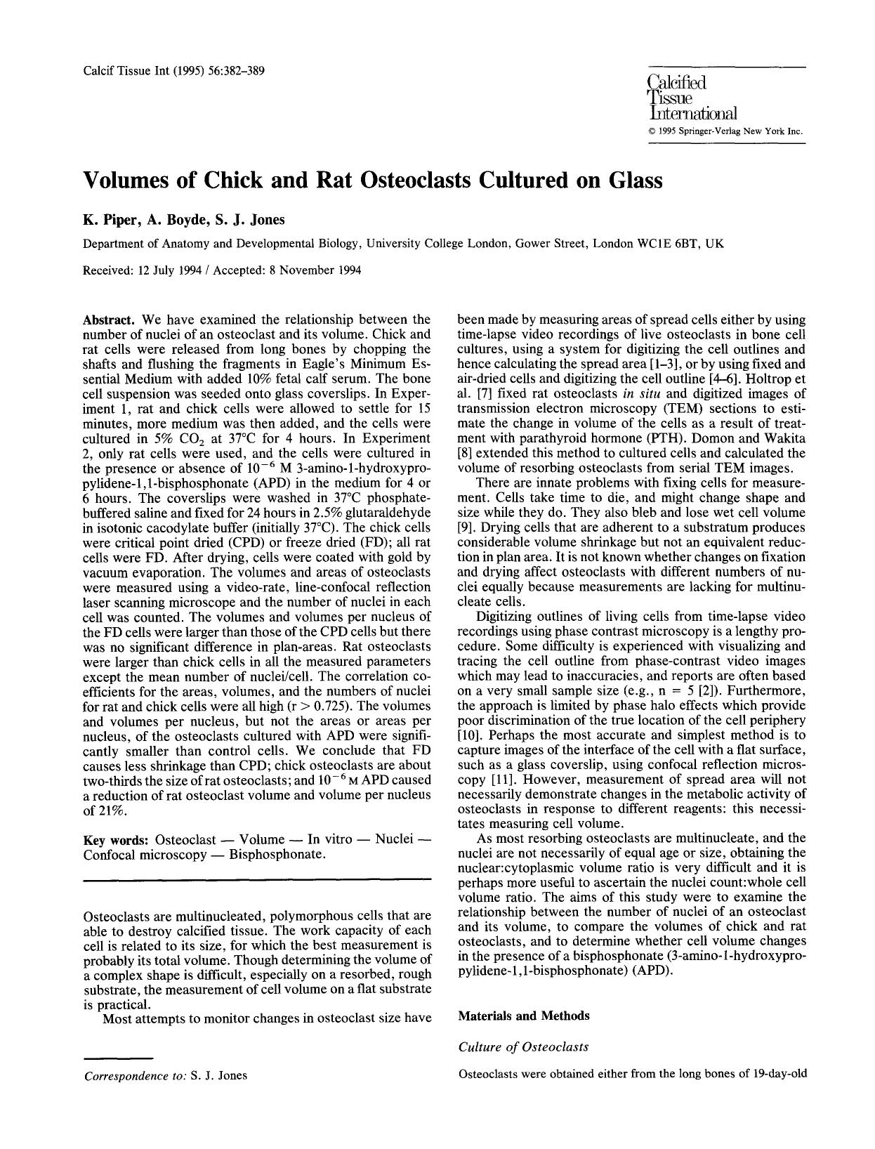 Volumes of chick and rat osteoclasts cultured on glass by Unknown