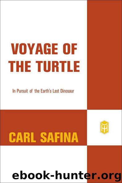 Voyage of the Turtle: In Pursuit of the Earth's Last Dinosaur by Carl Safina
