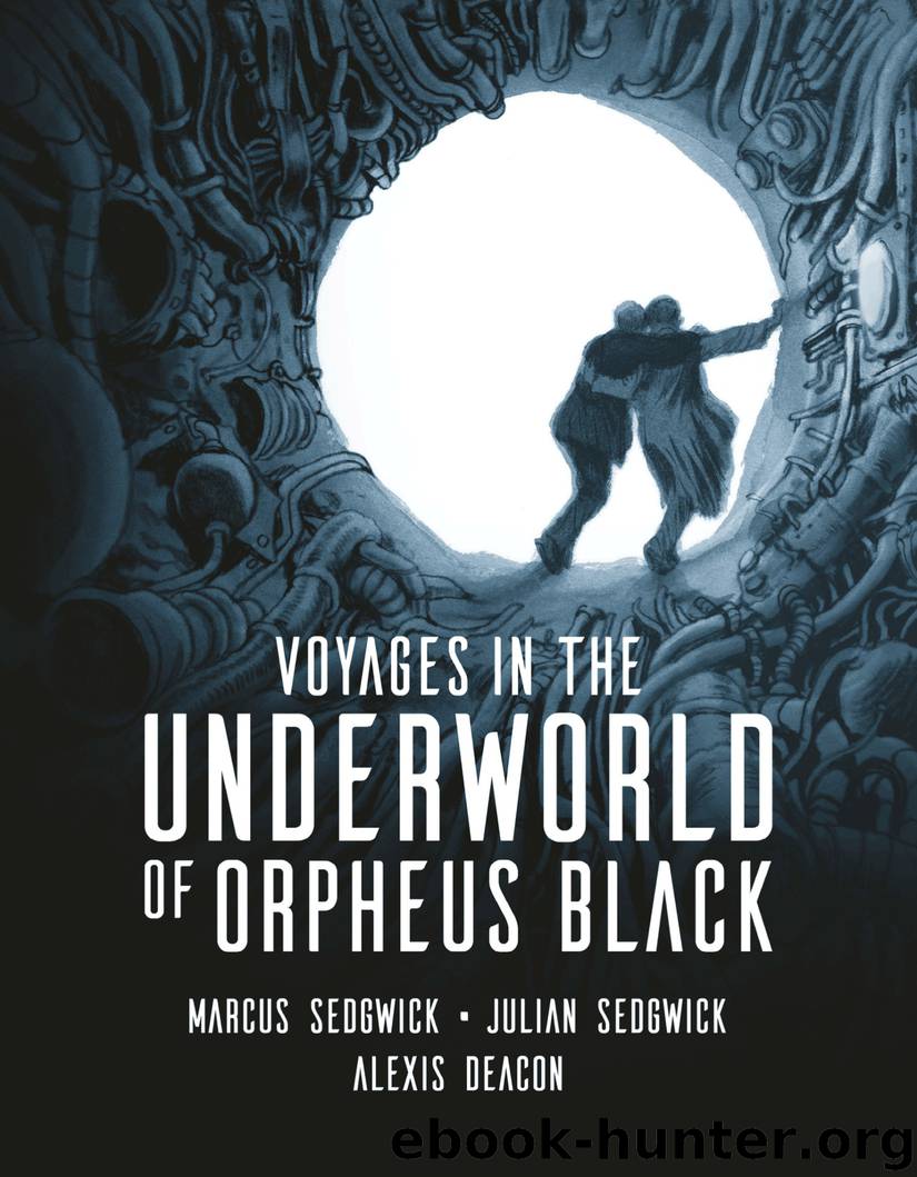 Voyages in the Underworld of Orpheus Black by Sedgwick Marcus & Sedgwick Julian