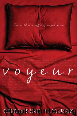 Voyeur by Christine Alvarez