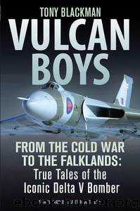 Vulcan Boys by Tony Blackman