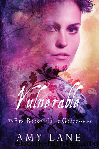 Vulnerable (Little Goddess Book 1) by Amy Lane