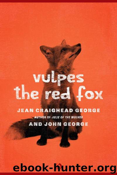 Vulpes, the Red Fox (American Woodland Tales) by George Jean Craighead & George John