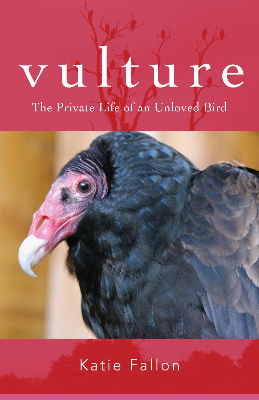 Vulture: The Private Life of an Unloved Bird by Katie Fallon