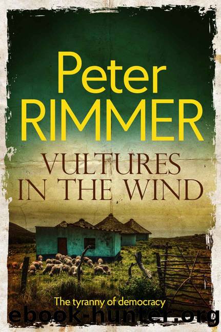 Vultures in the Wind by Peter Rimmer