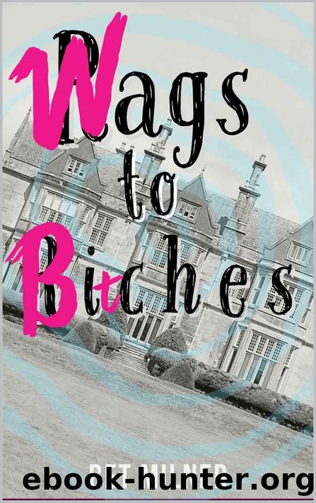 WAGs to Bitches by Bet Milner