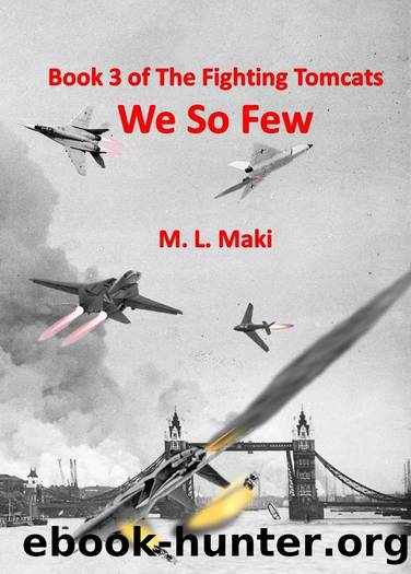 WE SO FEW: BOOK 3 OF THE FIGHTING TOMCATS by M L Maki & Sofia Maki & Megan Maki