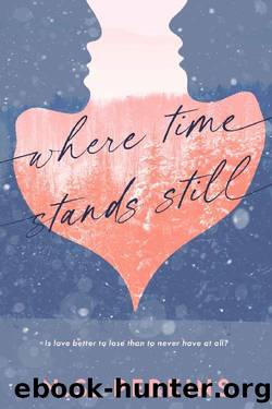 WHERE TIME STANDS STILL by N.S. Perkins