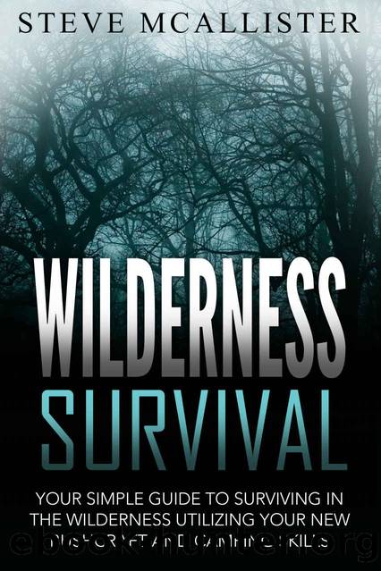 WILDERNESS SURVIVAL: Your Simple Guide to Surviving in the Wilderness Utilizing Your New Bushcraft and Camping Skills (Wilderness Survival, Safety, First Aid, Emergency, Survival Skills Book 4) by Unknown