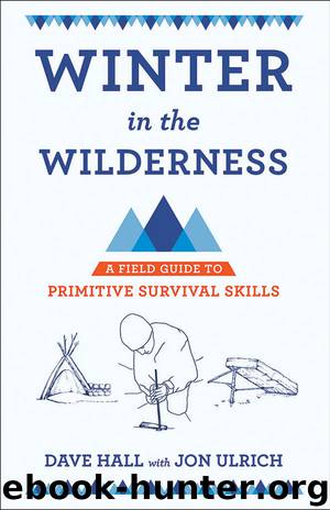 WINTER in the WILDERNESS by DAVE HALL & JON ULRICH