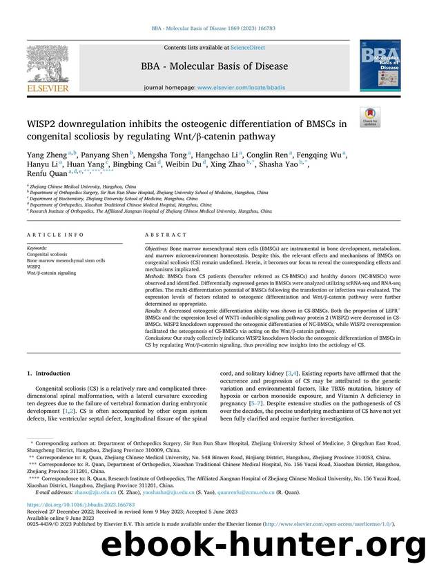 WISP2 downregulation inhibits the osteogenic differentiation of BMSCs in congenital scoliosis by regulating WntÎ²-catenin pathway by unknow