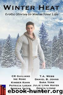 WInter Heat by Sara York A.J. Llewellyn T.A. Webb