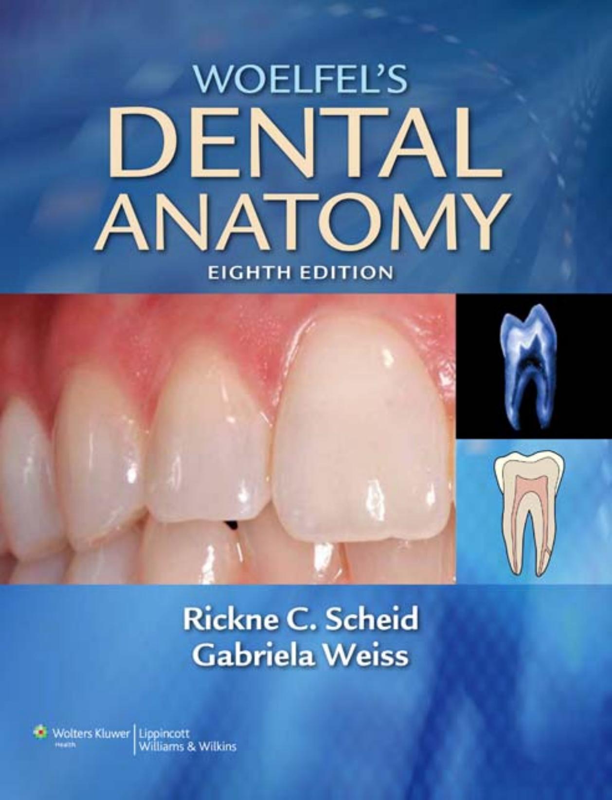WOELFEL'S DENTAL ANATOMY, EIGHTH EDITION by Rickne C.Scheid & D.D.S. & M.Ed. & Gabriela Weiss