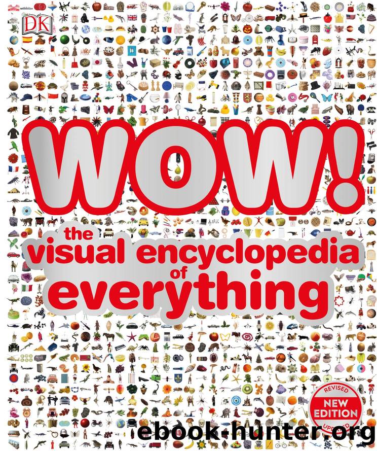 WOW!: The visual encyclopedia of everything by Dorling Kindersley