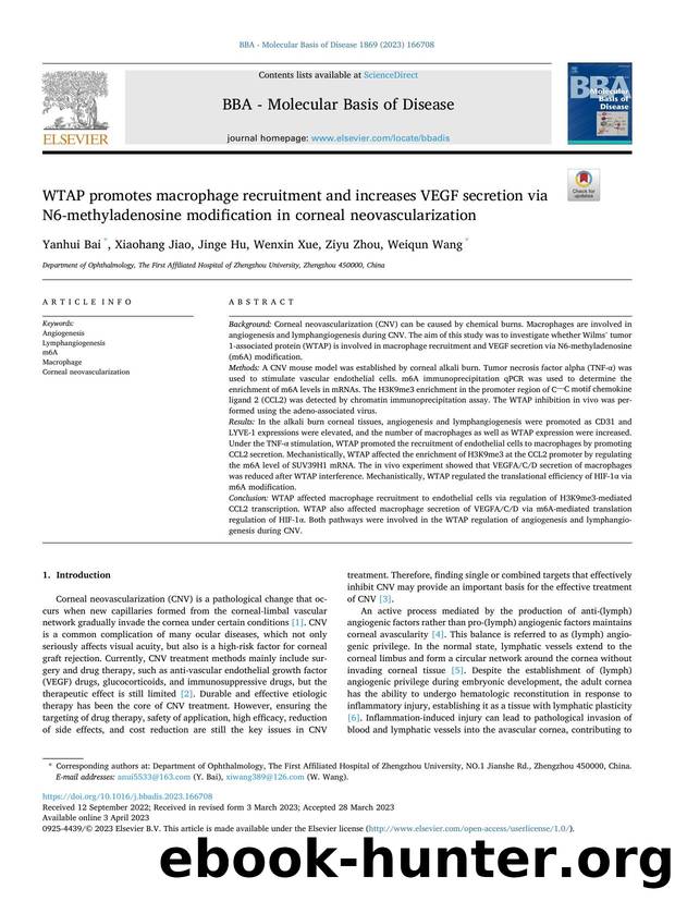 WTAP promotes macrophage recruitment and increases VEGF secretion via N6-methyladenosine modification in corneal neovascularization by Yanhui Bai & Xiaohang Jiao & Jinge Hu & Wenxin Xue & Ziyu Zhou & Weiqun Wang