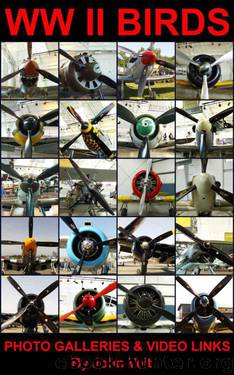 WW II BIRDS by Unknown