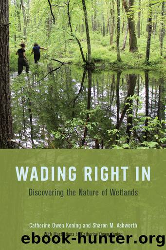 Wading Right In by Catherine Owen Koning & Sharon M. Ashworth