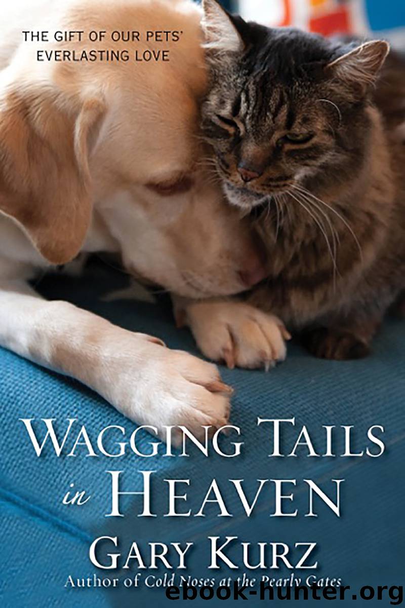 Wagging Tails in Heaven by Gary Kurz
