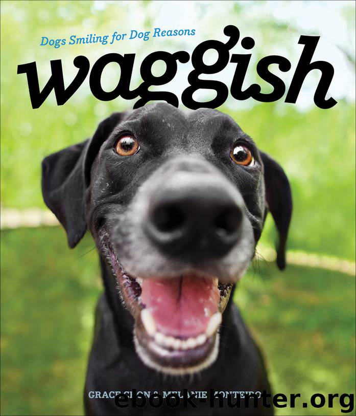 Waggish by Grace Chon