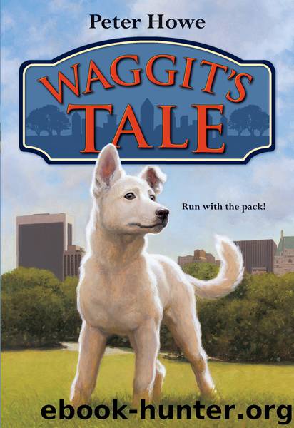 Waggit's Tale by Peter Howe