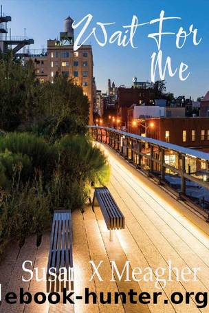 Wait For Me by Susan X. Meagher