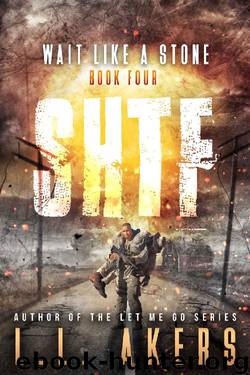Wait Like a Stone: A Post-Apocalyptic Thriller (The SHTF Series Book 4) by L.L. Akers