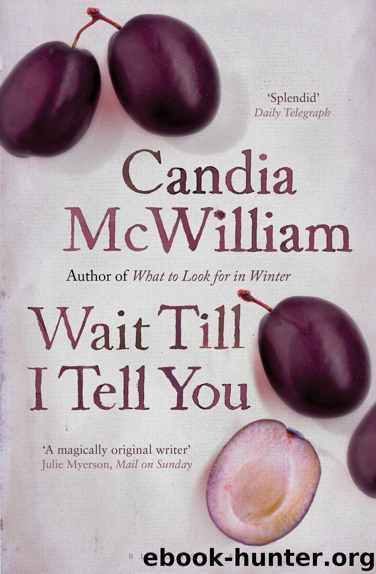 Wait Till I Tell You by Candia McWilliam