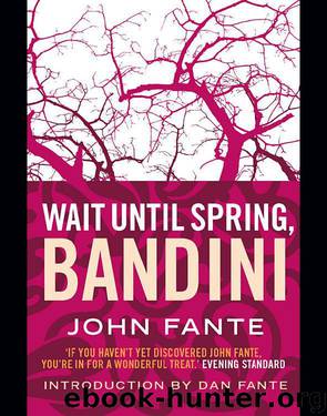 Wait Until Spring, Bandini by Fante John