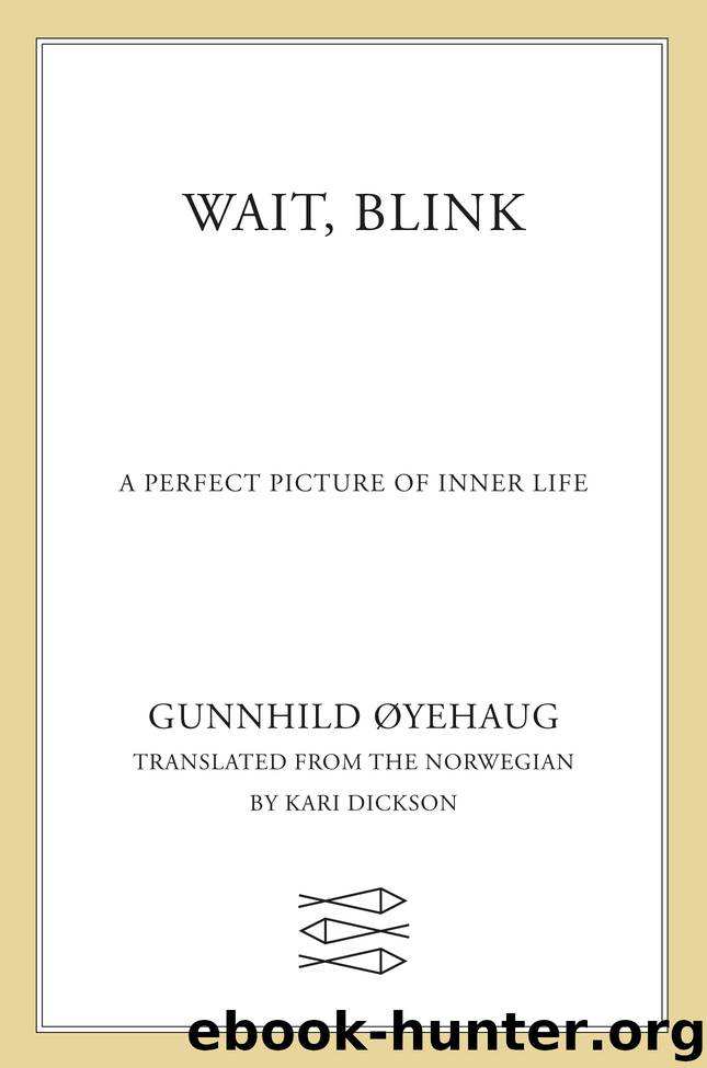 Wait, Blink by Gunnhild Øyehaug