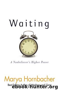 Waiting - A Nonbeliever’s Higher Power by Marya Hornbacher