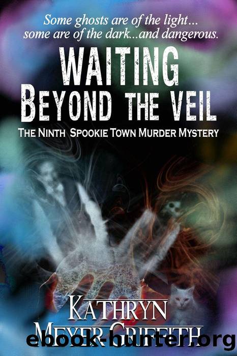 Waiting Beyond the Veil by Kathryn Meyer Griffith