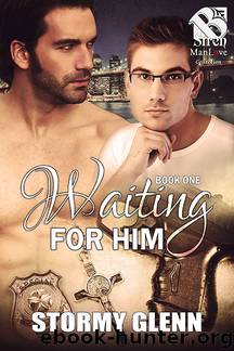 Waiting for Him by Stormy Glenn