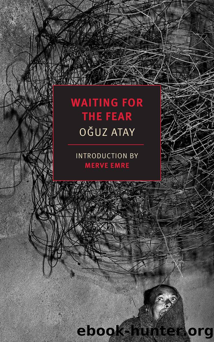 Waiting for the Fear by Oguz Atay
