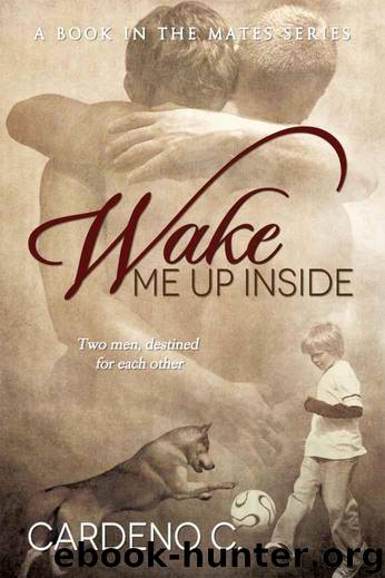 Wake Me Up Inside (The Mates Series) by C. Cardeno