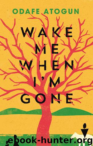Wake Me When I'm Gone by Odafe Atogun